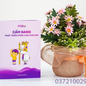 Cẩm nang chiều cao cho bé Midu