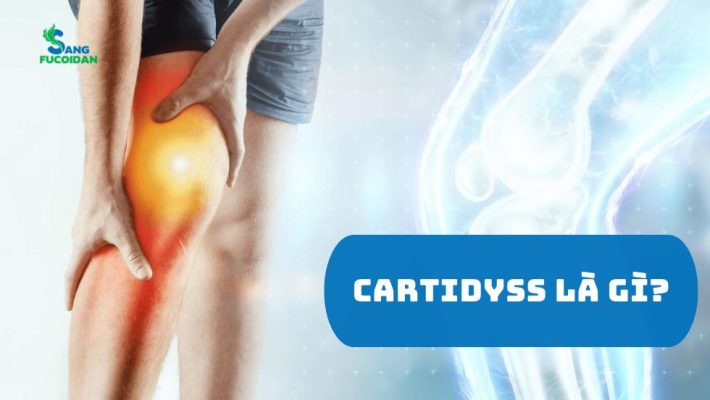 Giải pháp hỗ trợ xương khớp Cartidyss là gì?