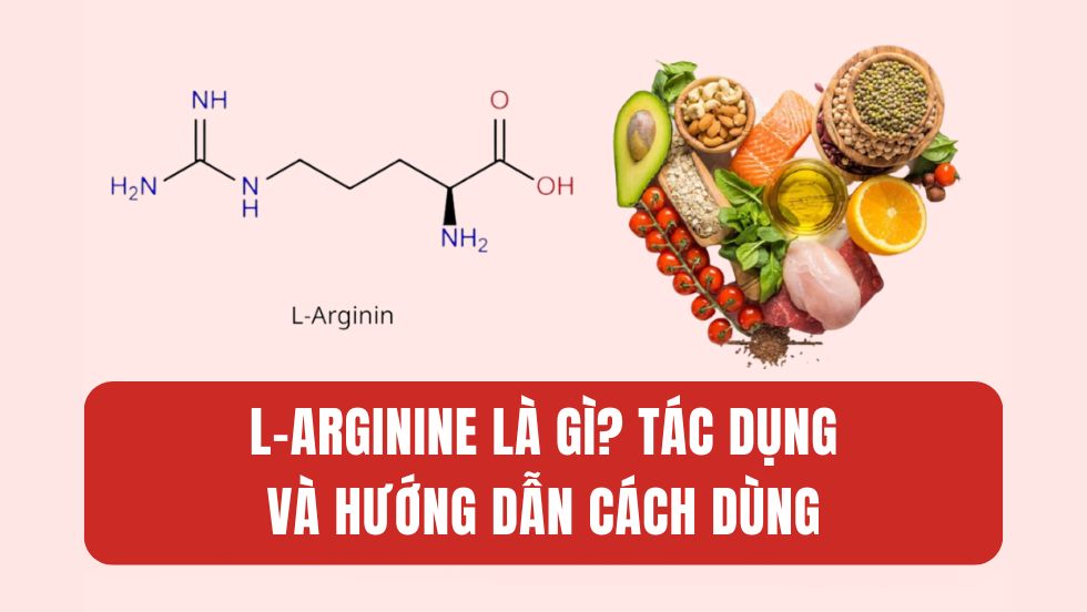 L-Arginine là gì? Hướng dẫn cách dùng an toàn, hiệu quả