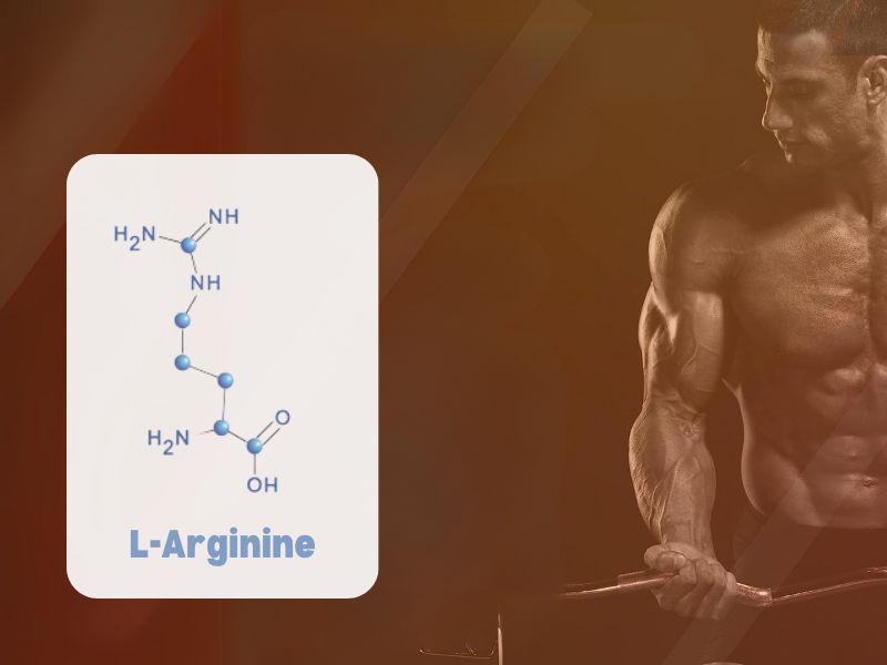 Công dụng của L-Arginine là gì?