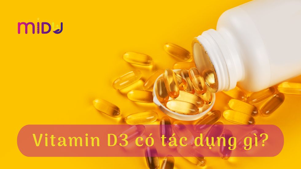 Vitamin D3 có tác dụng gì?