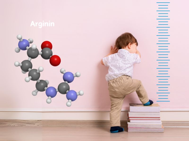 Arginin hỗ trợ phát triển chiều cao
