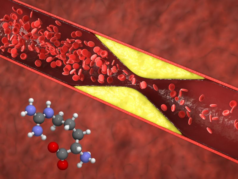 Arginin giúp giảm cholesterol máu hiệu quả